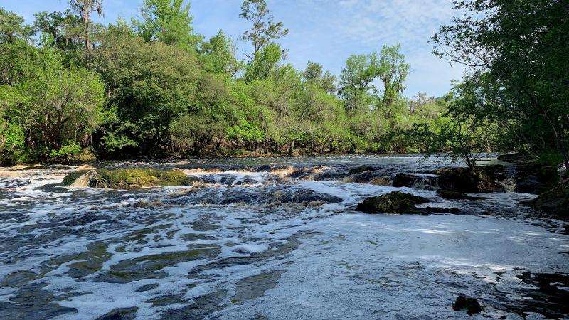 foamy white water flows past shoals in a river