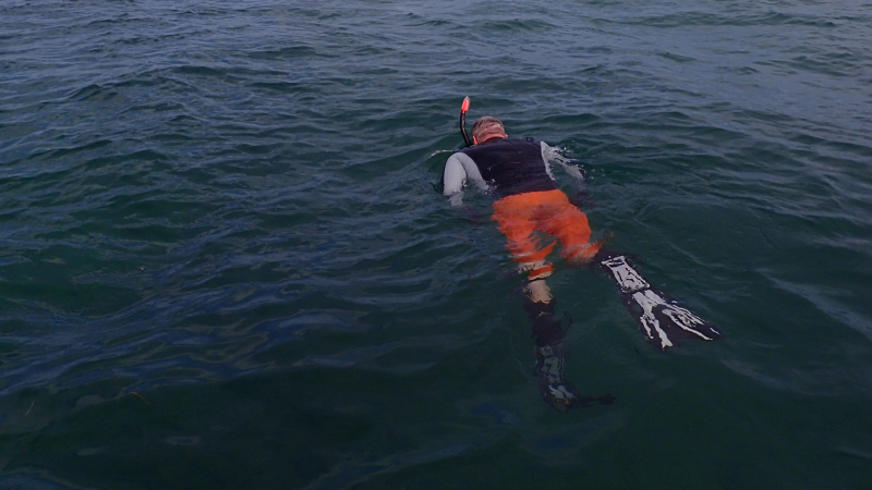 Snorkeling the San Pedro