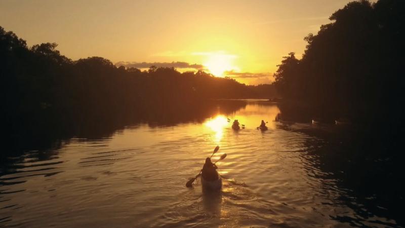 Image of three kayaks/canoes padding the Suwannee River at sunset