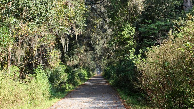 a paved trail extends through a thick canopy of trees and undergrowth