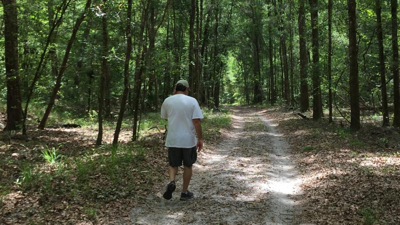 a man walks down a dirt trail in a green forest
