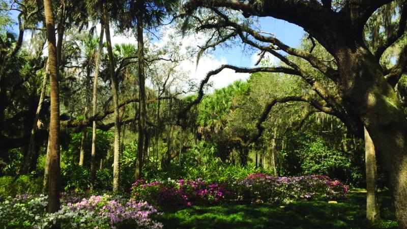 Washington Oaks Gardens