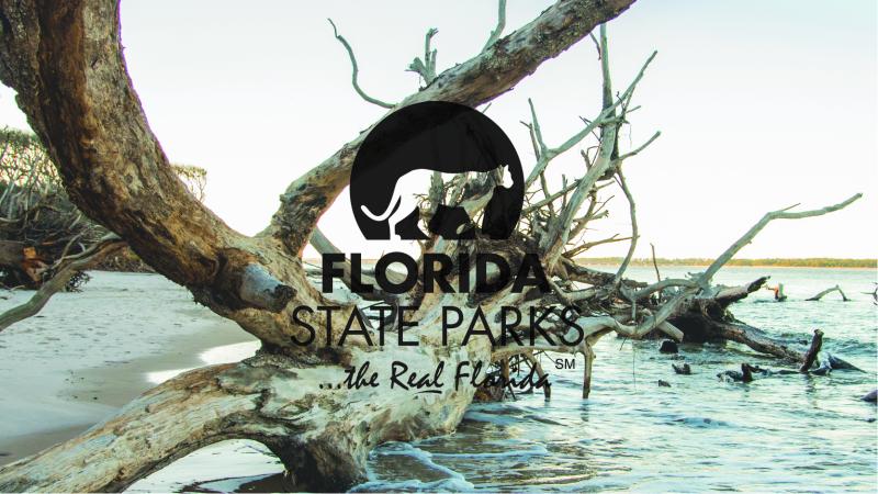 A large drift wood tree with the Florida State Parks logo 