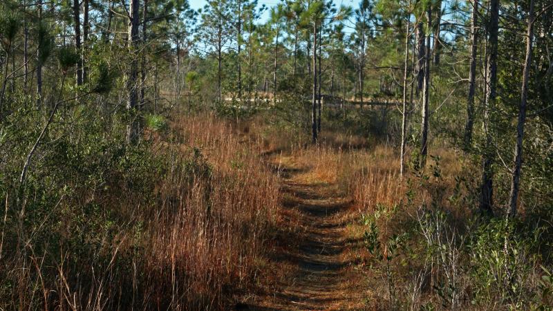 Yellow River Walking Trail