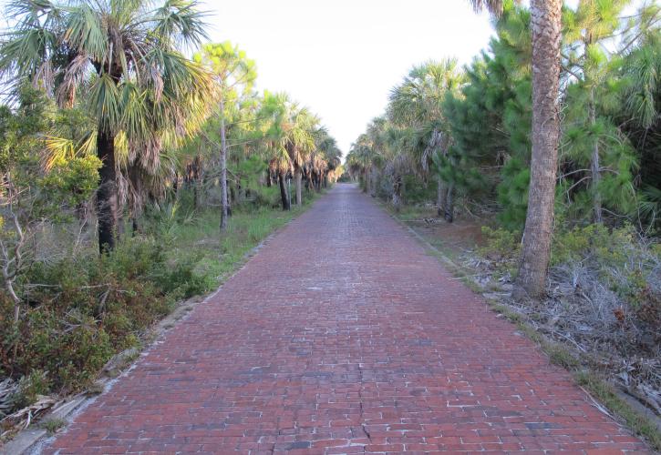 Historic Road Egmont Key