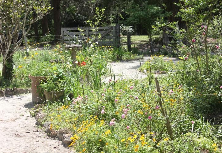 Garden at Dudley Farm