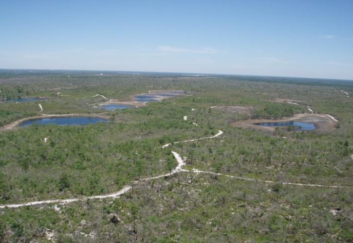 Allen David Broussard Catfish Creek Preserve State Park