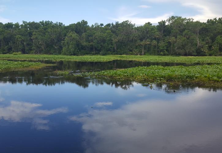 Lower Wekiva River Preserve