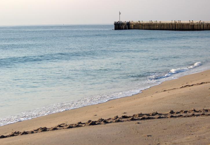 sea turtle crawl at SISP with jetty in the background