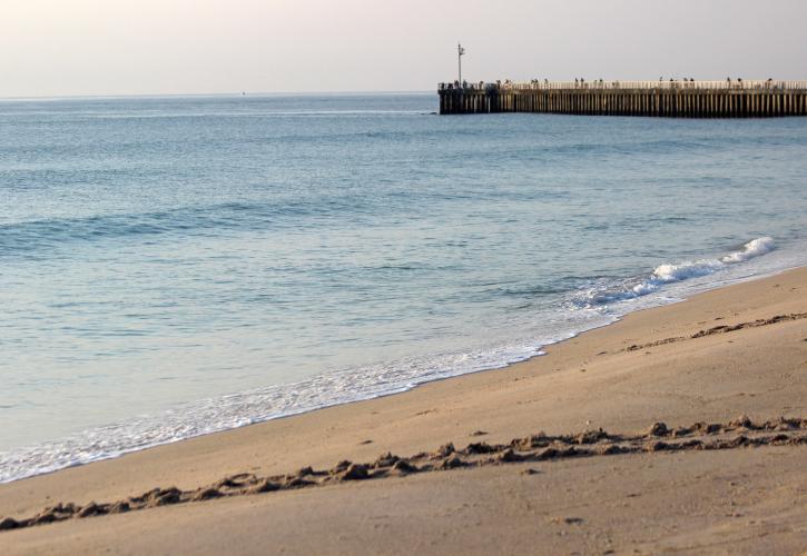 sea turtle crawl at SISP with jetty in the background