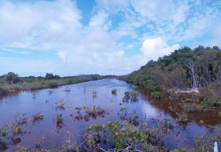 Dagny Johnson Key Largo Hammock Botanical State Park