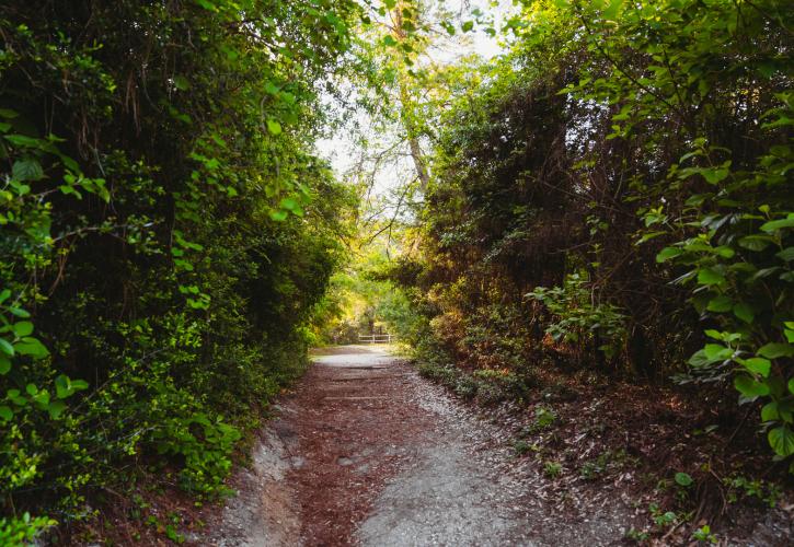 Trails at Rocky Bayou