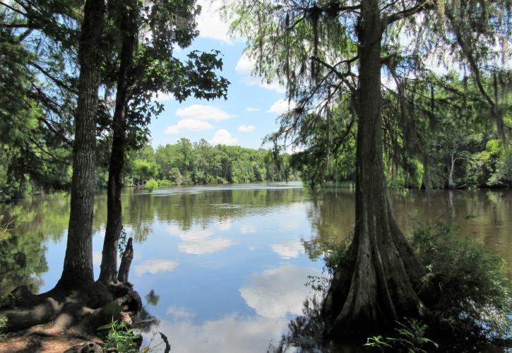 Dunns Creek State Park