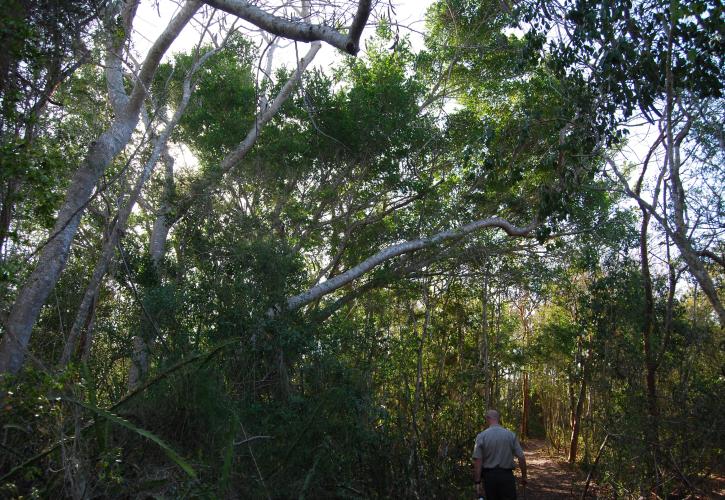 Mound Key Archaeological State Park