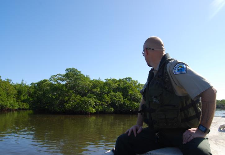 Mound Key Archaeological State Park