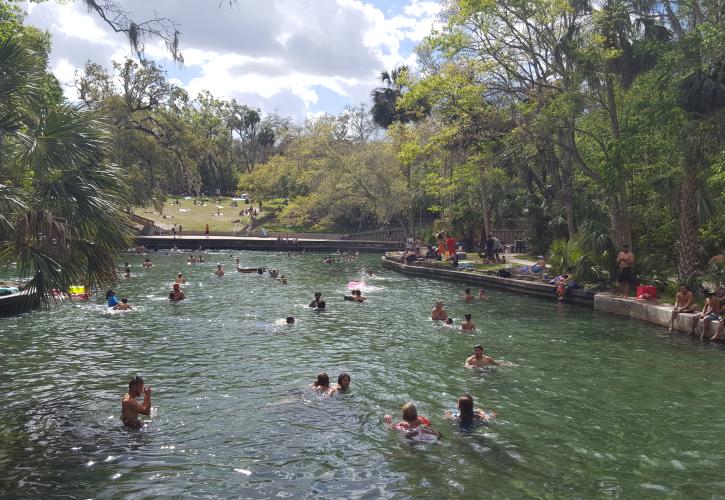 Visitors swimming in Spring