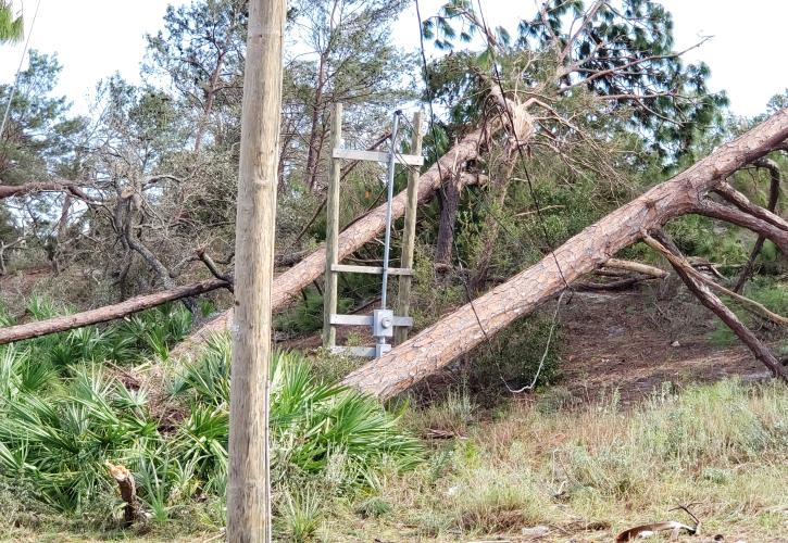 St. Andrews Hurricane Damage