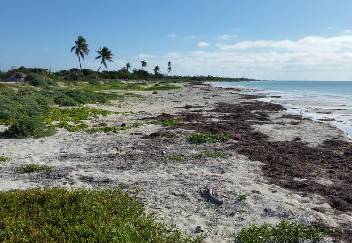 A current view of Sandspur Beach.