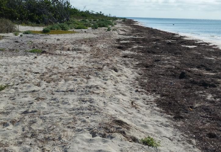 A current view of Sandspur Beach.