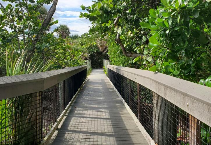 Walking bridge at Dr. Von D. Mizell-Eula Johnson State Park in Hollywood.