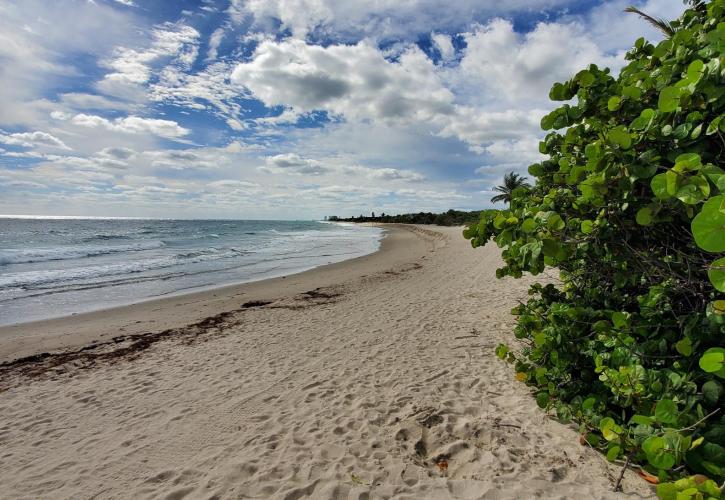 Coastline at Dr. Von D. Mizell-Eula Johnson State Park in Hollywood