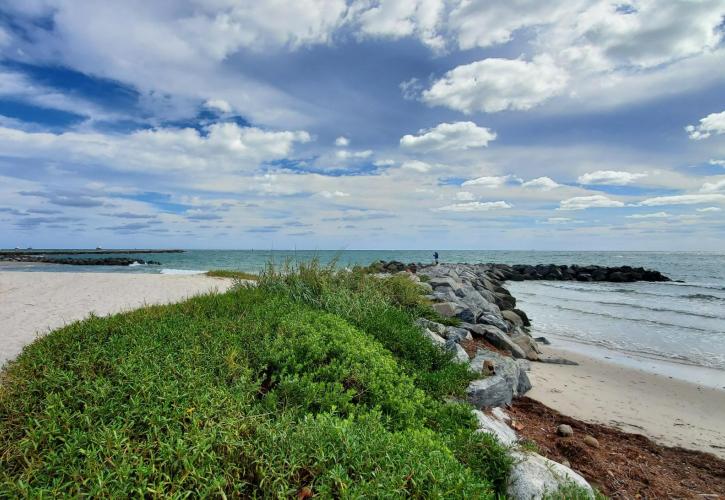 Beach and Jetty at Dr. Von D. Mizell-Eula Johnson State Park in Hollywood.