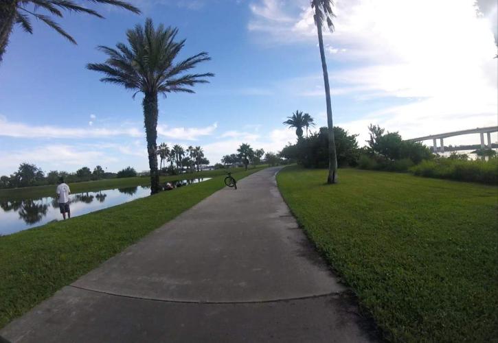 A paved trail runs beside a lake. 