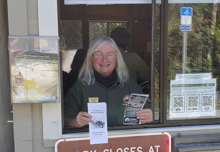 Woman in green shirt holding paper brochures 