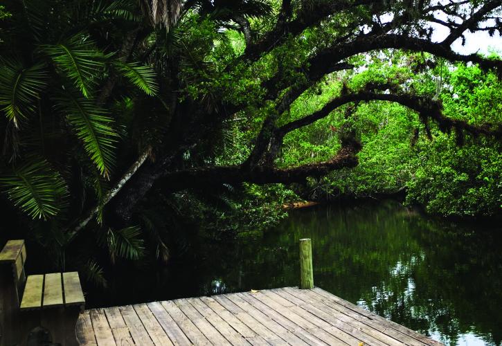 River view from dock