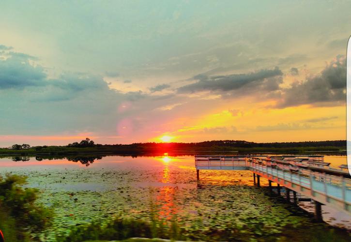 St. Marks Preserve