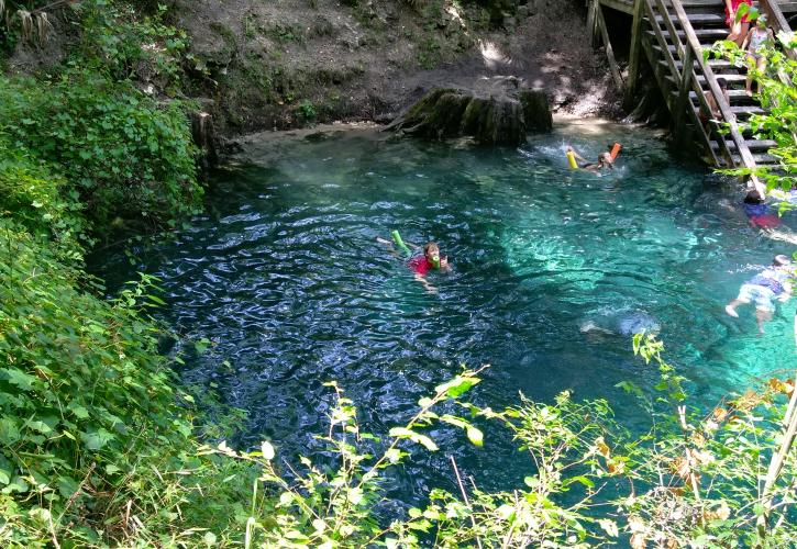 Swimming at Madison Blue Spring