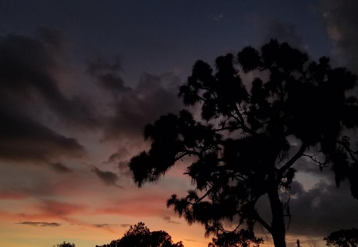 A view of the sky at dusk.