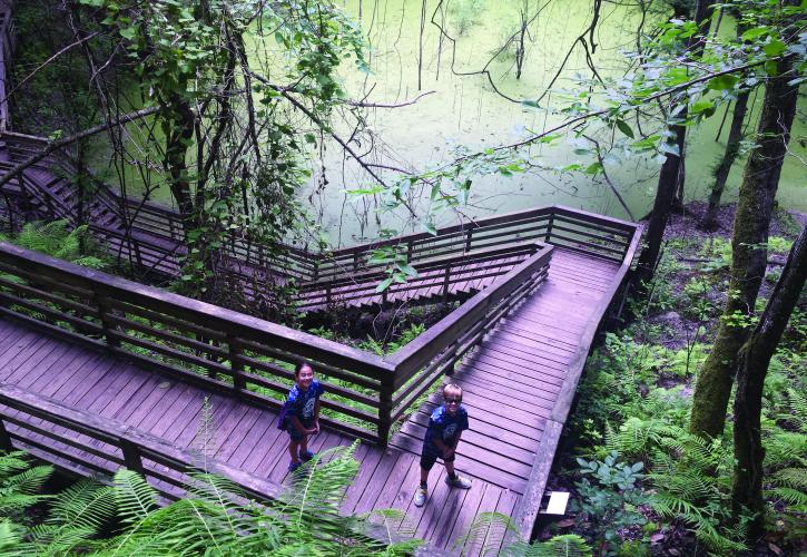 Children descending staircase