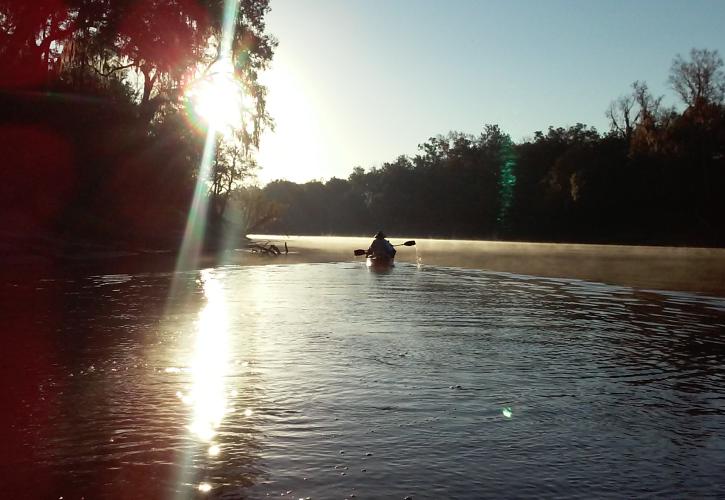 Suwannee River Wilderness