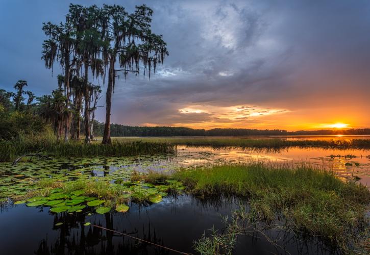 Photo of Lake Louisa during sunset