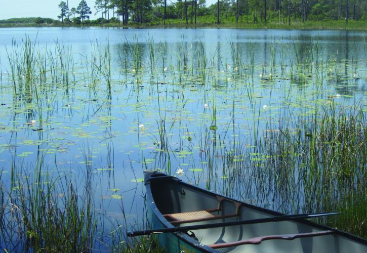 View from a canoe