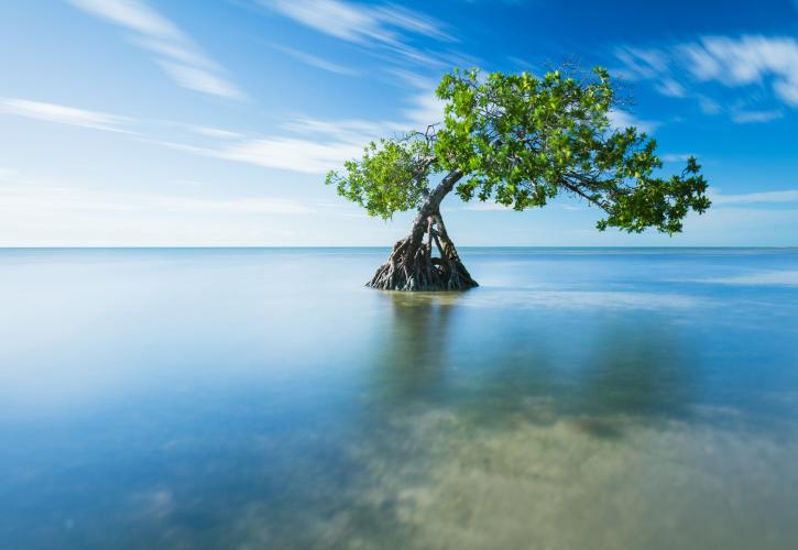 credit: florida state parks