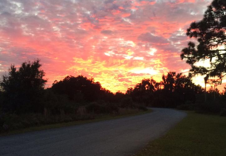 A view of the sunset over a paved trail.