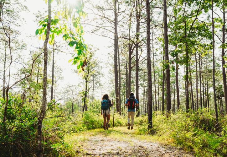 Hiking at Ponce de Leon