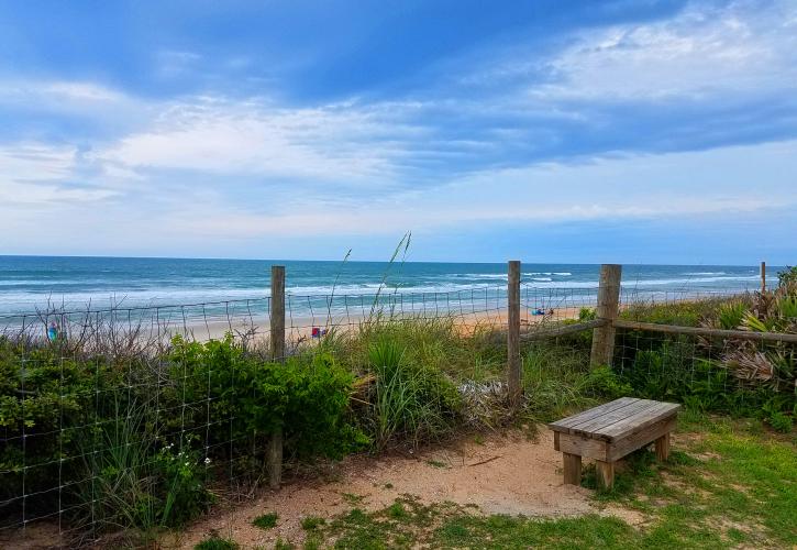 View of beach at Gamble Rogers