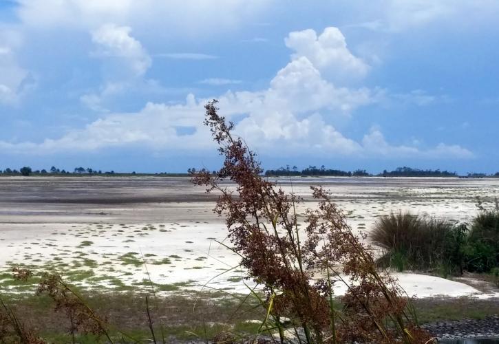 St. Marks River Preserve State Park