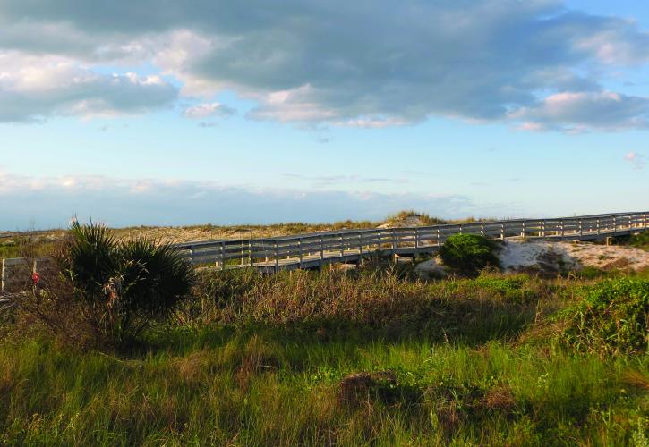 View of Boardwalk