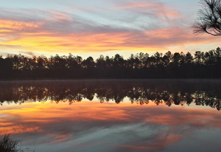 Lake Manatee State Park