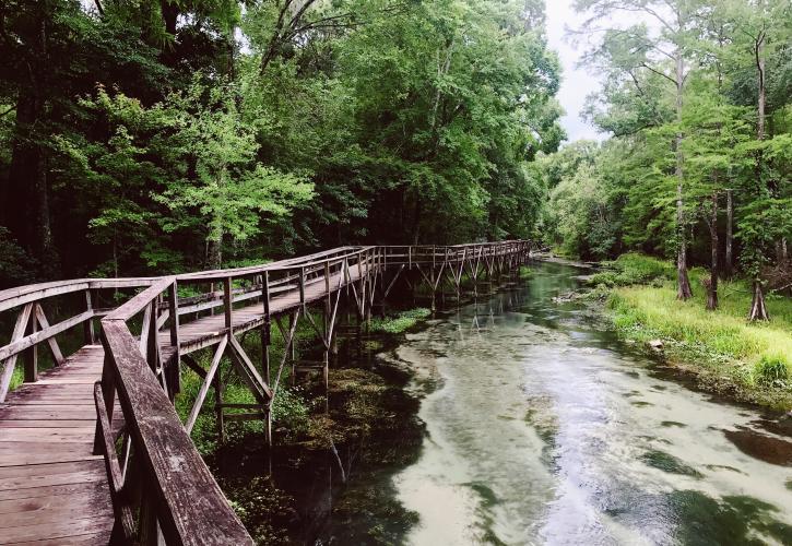 Boardwalk Blue Spring