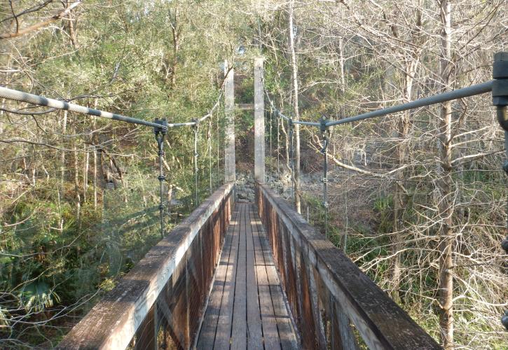 Suspension Bridge over the Ravine