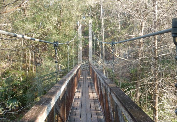 Suspension Bridge over the Ravine 