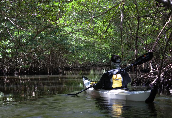 Oleta River State Park