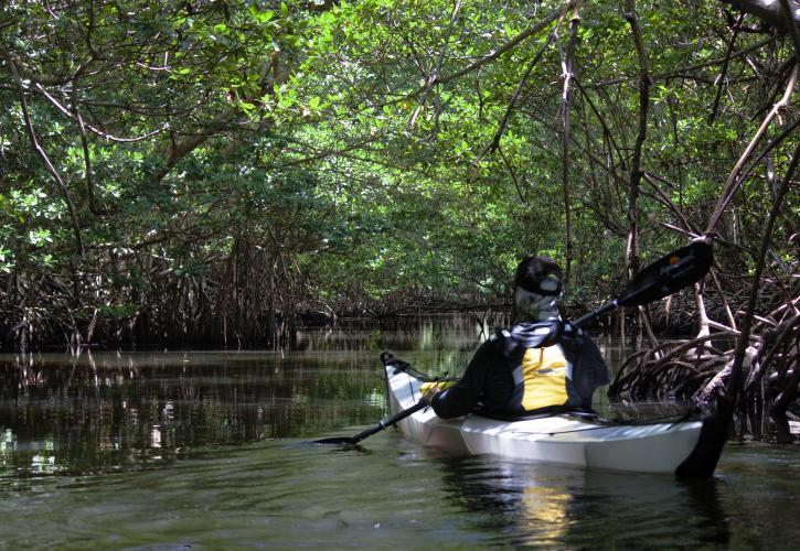 Kayaker in Oleta River State Park