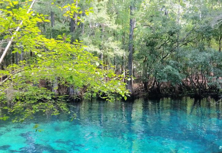 Manatee Springs State Park