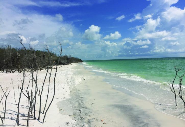 Caladesi Island Beach View